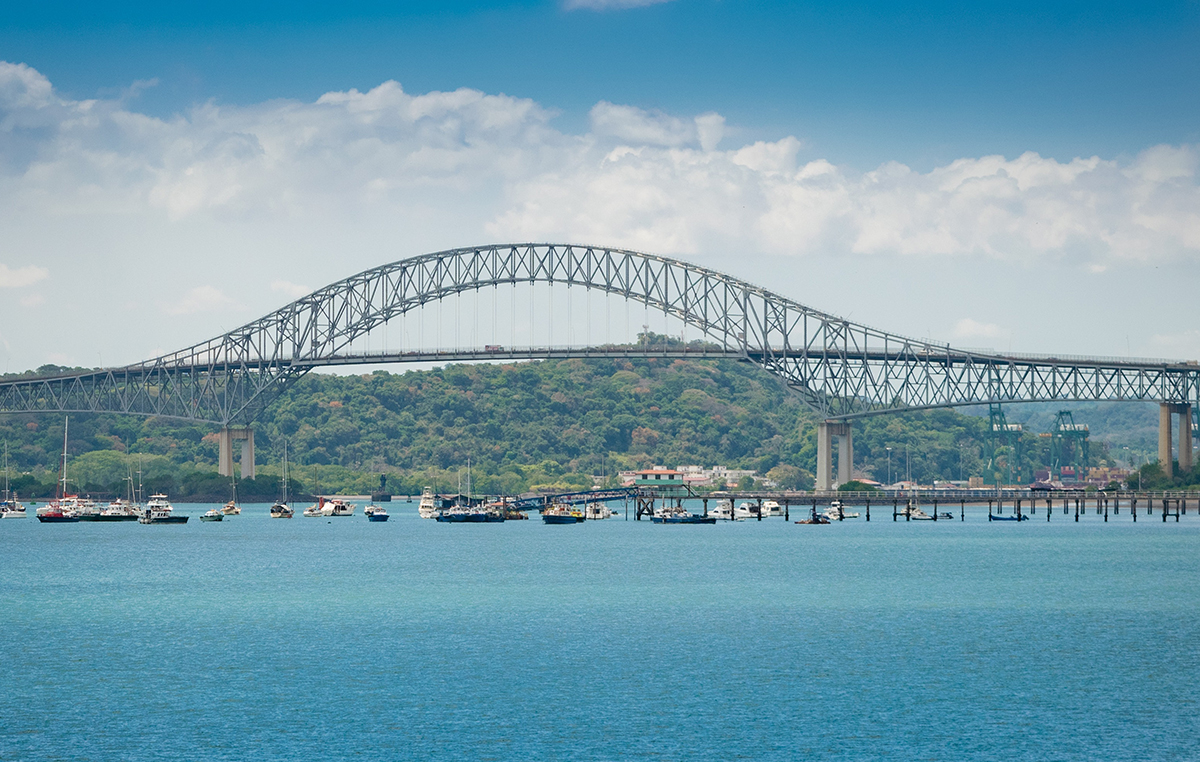 pexels deyvi-darinel-9164393