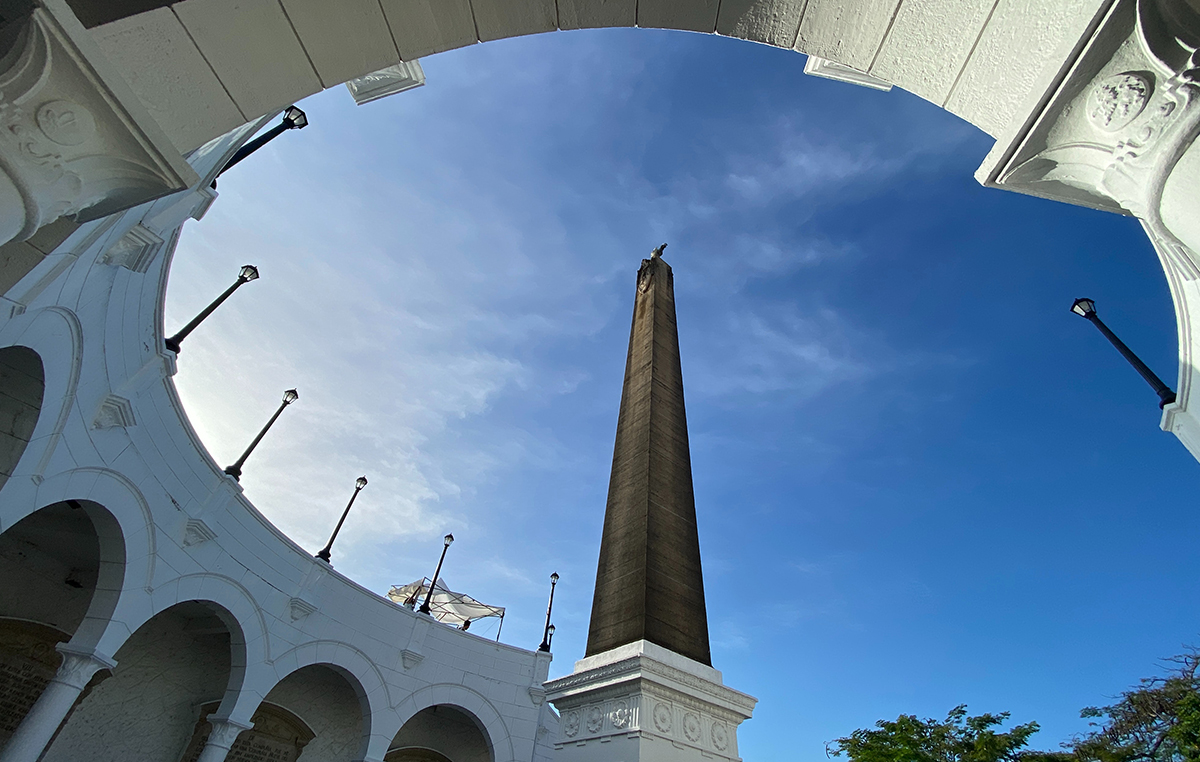 pexels midory-niwa-12943219